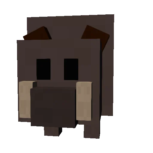 Wild Boar