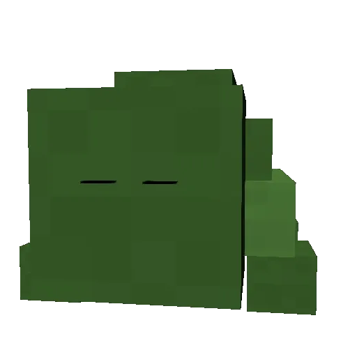 Bog Turtle