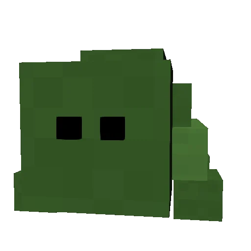 Bog Turtle