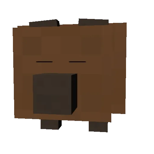 Wild Bear
