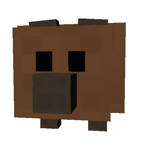 Wild Bear